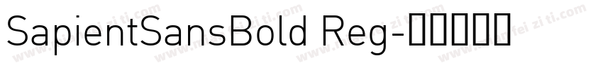 SapientSansBold Reg字体转换